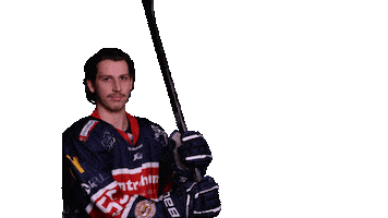 Ulm Devils Sticker by devilsulmneuulm