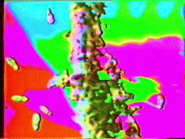 Jean Painleve Vhs GIF by Preston Spurlock