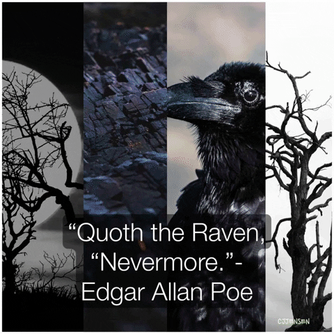 Edgar Allen Poe Raven GIF