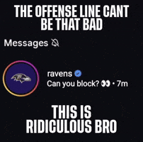 Baltimore Ravens GIF