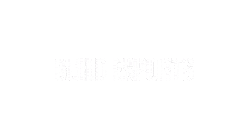 Guild Vct Sticker by VALORANT Esports