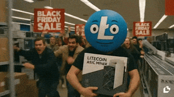 Black Friday Lol GIF by LitVM