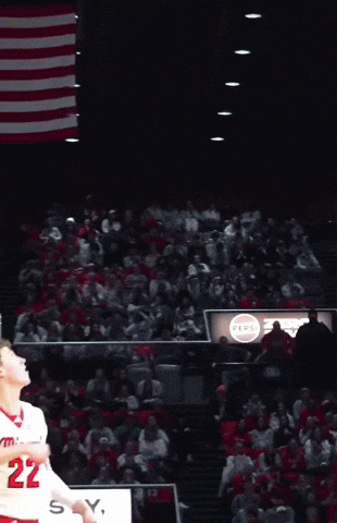 Miami University Redhawks GIF