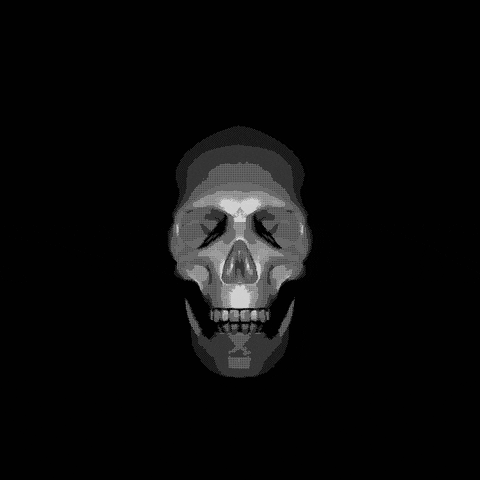 PERFECTL00P loop skull smash glitch art GIF