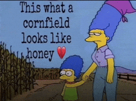 Cornfield GIF