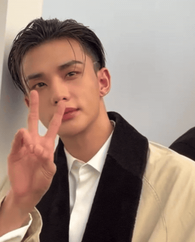 Skz Stray Kids Hyunjin GIF