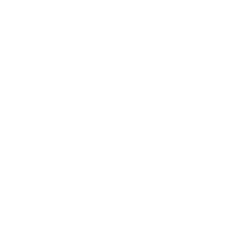 Mister Gadget Sticker