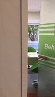 200.gif?cid=fc005b085c3b531b394e985b29d90b7b5927c785a85b1ac4&rid=200.gif&ct=g