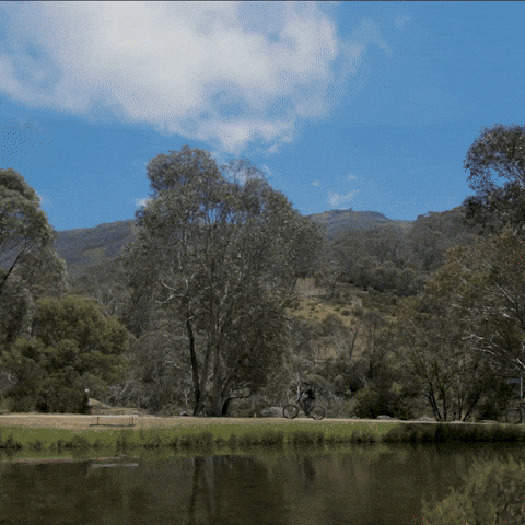 GIF by Thredbo