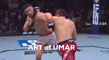 Khabib Nurmagomedov Ufc GIF