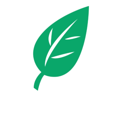 프레시코드 Sticker by freshcode_salad