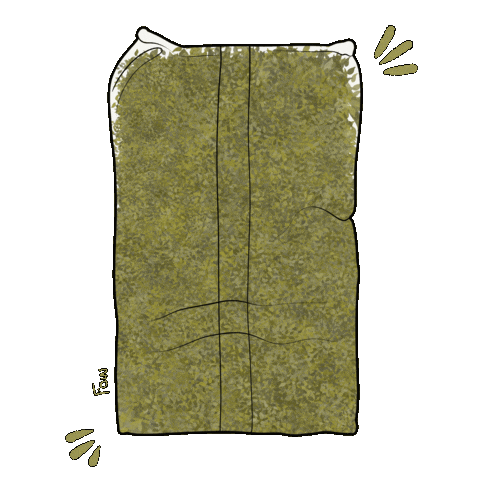 Bunny Rabbit Sticker