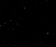 GIF by TCR Tri Coaching