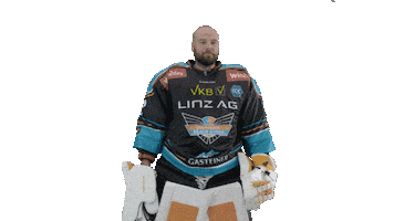 Lets Go Ex Sticker by Black Wings Linz