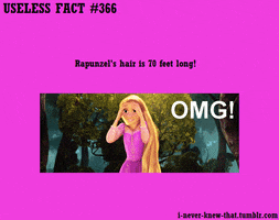 did you know facts GIF