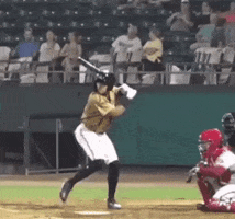 Texas Rangers GIF