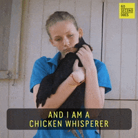 Chicken GIF by 60 Second Docs