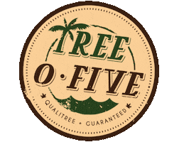 Logo Miami Sticker by TREE O FIVE