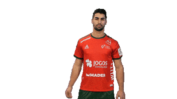 Letsgovamos Sticker by Federação de Andebol de Portugal