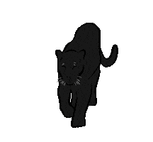 지니 Bae Suzy Sticker by yemsstudio