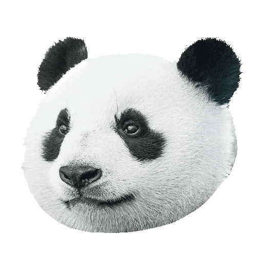 Laku Herkku Sticker by Panda