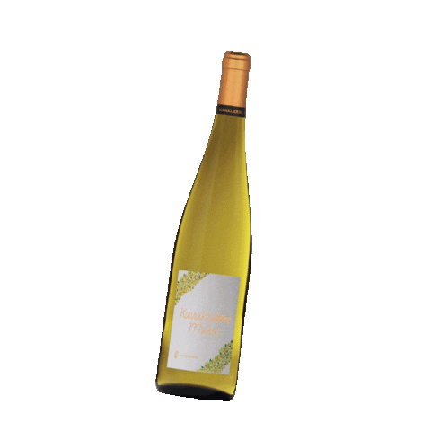 Bottle Of Wine Drinking Sticker by Kavaklidere Wines