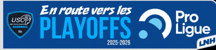 En Route Playoffs GIF by US Créteil Handball