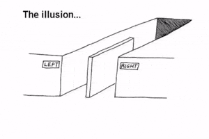 Illusion Choice GIF
