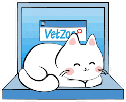 Cats Shopping GIF by Vetzoo
