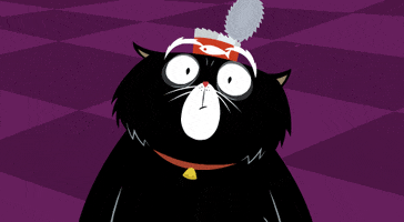 Confused King Tubby GIF by Kitty Is Not A Cat