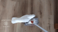 Cockatoo Loves Attacking Moving Duster
