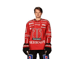 Shl Sticker by Örebro Hockey