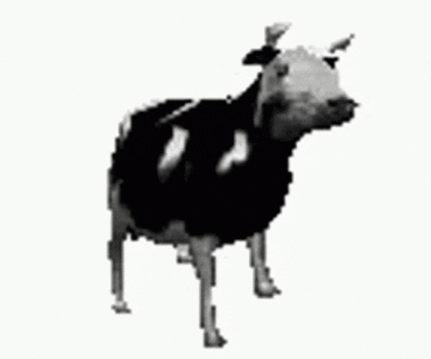 Polish Cow