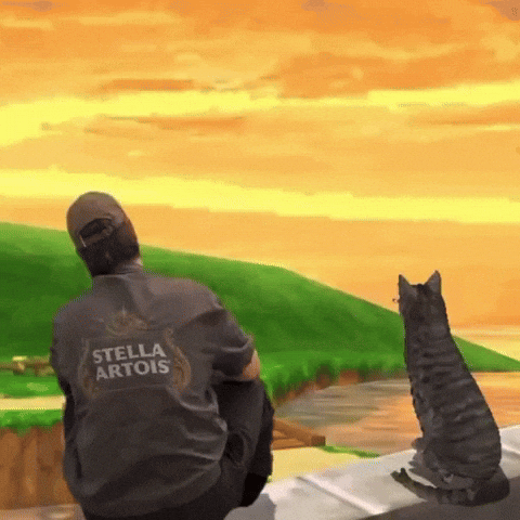 Sad Cat GIF