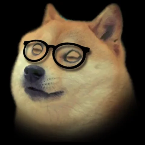 Shiba Inu Dog GIF