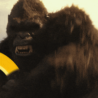 Mad King Kong GIF by Godzilla vs. Kong