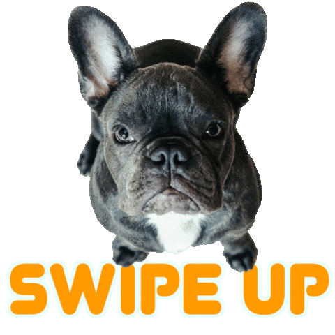 Frenchie World Sticker