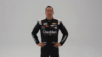 Kyle Busch No GIF by Richard Childress Racing