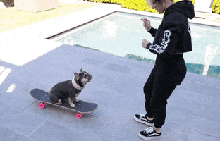French Bulldog Skateboarding GIF by Rosanna Pansino