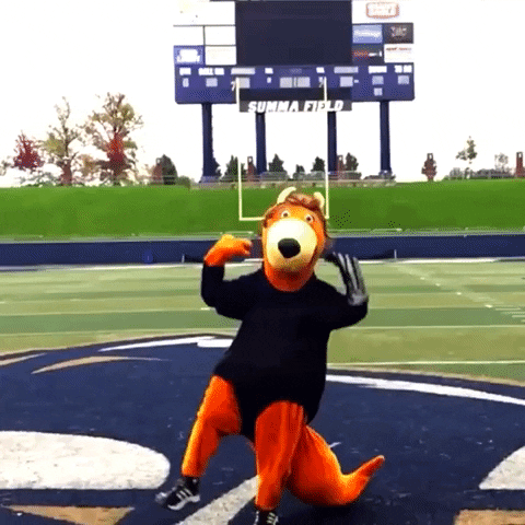 Excited GIF by The University of Akron
