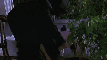 Sarah Michelle Gellar GIF