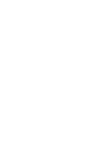 Sebra Interior Sticker