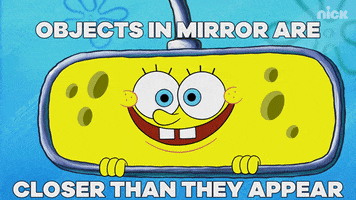 Drive Mirror GIF by SpongeBob SquarePants