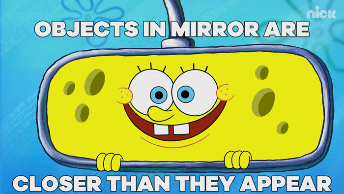 Drive Mirror Gif By Spongebob Squarepants Find Share On Giphy