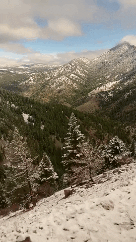Let It Snow GIF by Amtrak