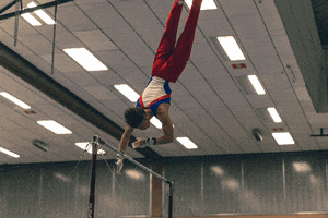 ktvkoblenz hit gymnastics dutchman highbar GIF