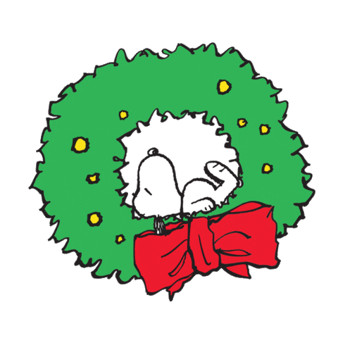 Source: Harveys Seatbelt Bag