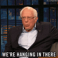 Bernie Sanders Lol GIF by Late Night with Seth Meyers