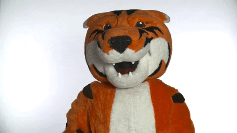RITchie GIFS by Rochester Institute of Technology | GIPHY