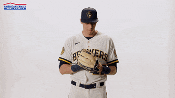 Lets Go Baseball GIF by American Family Insurance